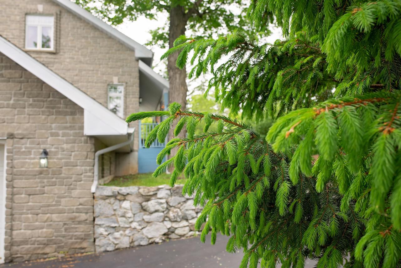 Rock Hill Bed&Breakfast Sharbot Lake Exteriör bild